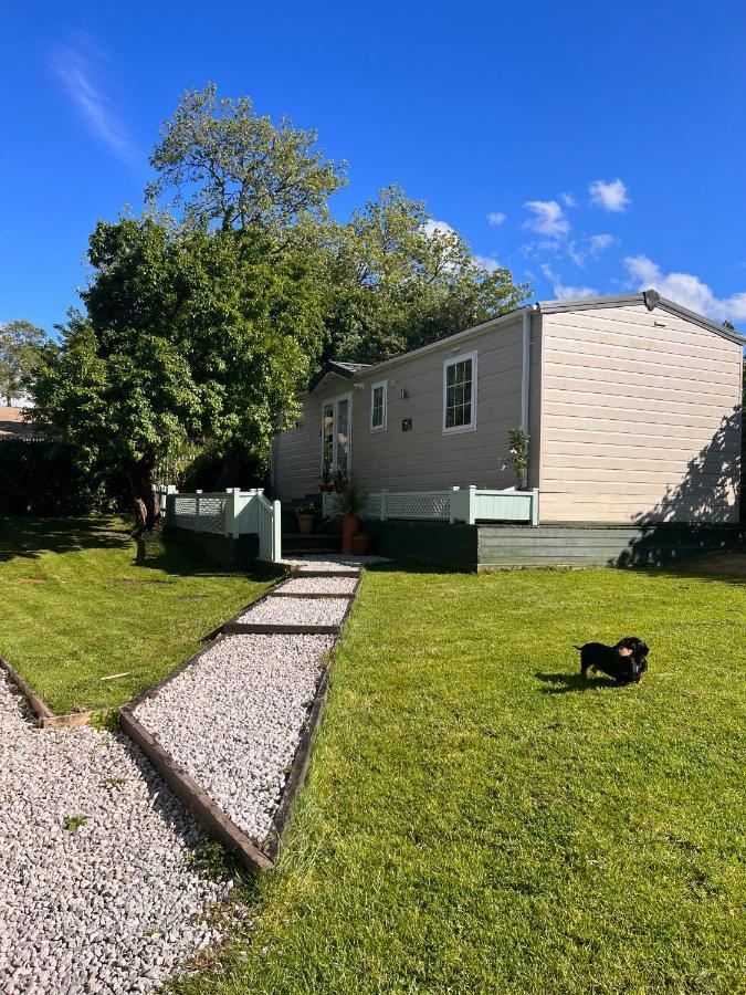 New, Modern 2 Bed Cabin In Rural North Wales Villa Clocaenog Dış mekan fotoğraf